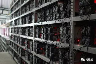 Expansive mining farm hosting rows of mining rigs managing Dogecoin mining operations