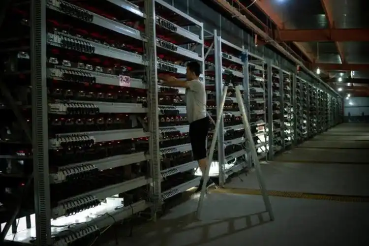 Modern mining farm showcasing energy-efficient hosting infrastructure