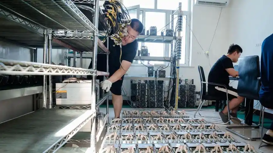 An overview of a bustling mining farm, showcasing rows of hosted mining rigs in action