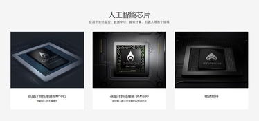 Custom ASIC mining rig setup adapting to natural gas-powered mining operation